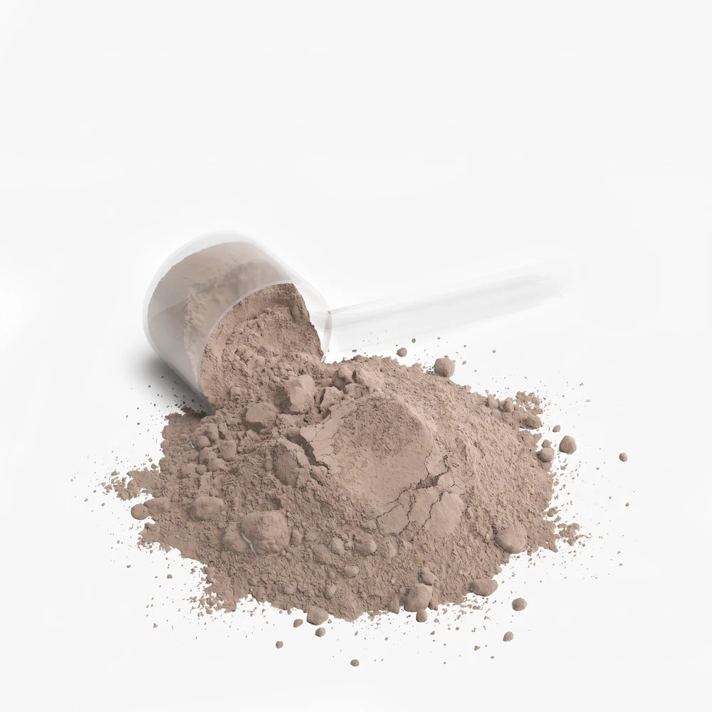 Chocolate Performance Whey Protein